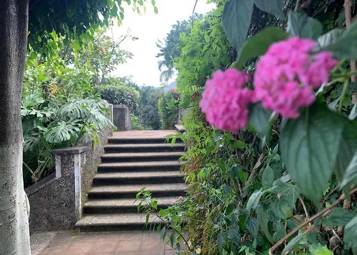 Posada Del Tepozteco - Hotel & Gallery